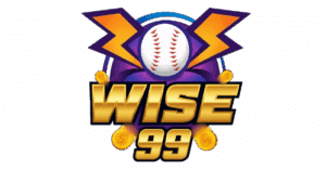 wise999 elogo